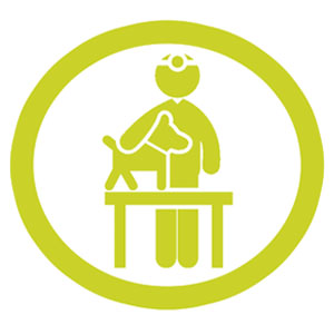 veterinaria