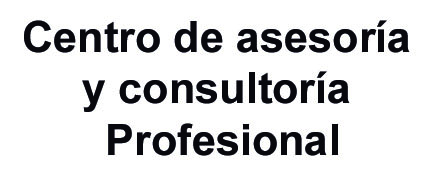 Centro de asesora y consultoria profesional